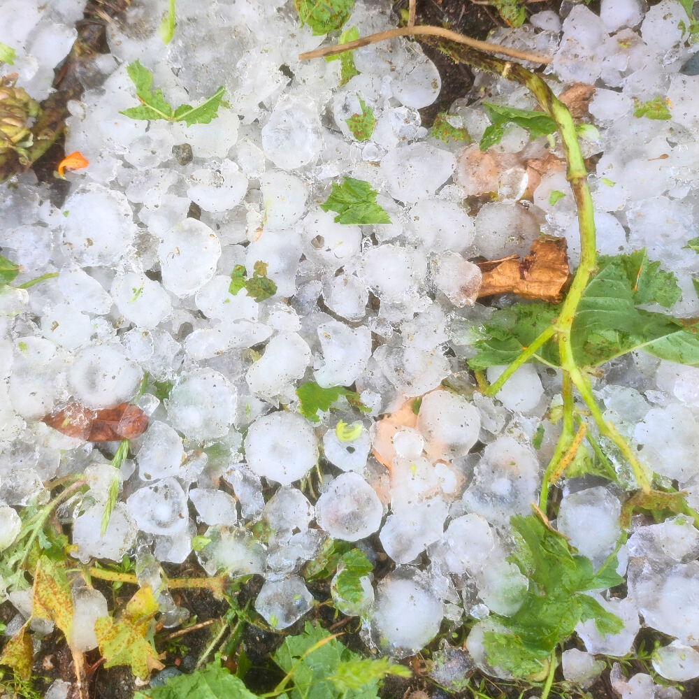grêlons au sol, suite à l'orage du 17 mai 2024 à Montlaur (Aude)