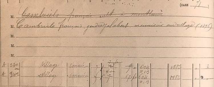 case de François Cambriels dans la matrice cadastrale des propriétés bâties à Montlaur